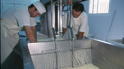 Producción de la Torta del Casar de Cáceres