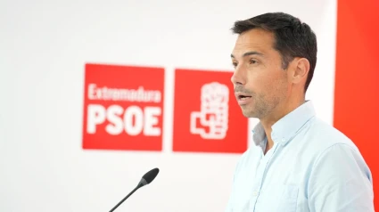 Manuel Borrego, secretario de Organización del PSOE de Extremadura.