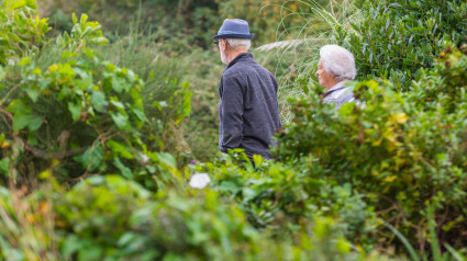 Una pareja de ancianos paseando por un parque en otoño en el Reino Unido