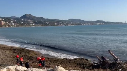 Cañas y otros residuos acumulados en la playa de La Malagueta