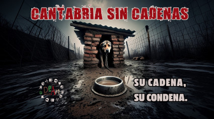 Imagen de la campaña.