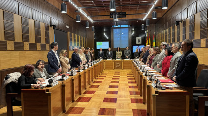 Pleno Ayuntamiento de Huesca noviembre 24