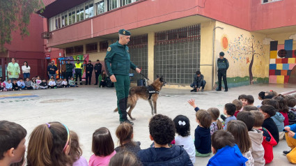 Exhibición de la unidad de perros-guía en un centro educativo