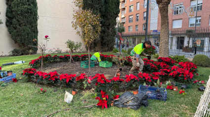 Operarios de Parques y Jardines plantan flores de pascua en el palacete Huerto Ruano