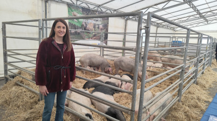 María José Gómez na Feira do Porco da Ceba