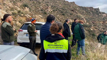 Collado Mediano inicia la reforestación del Cerro del Castillo