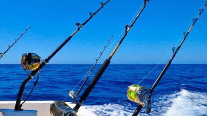 Los pescadores de Mallorca se suman a la huelga contra la propuesta de reducción de los días de pesca