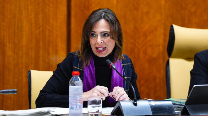 Rocío Díaz, consejera Comisión Fomento de la Junta de Andalucía