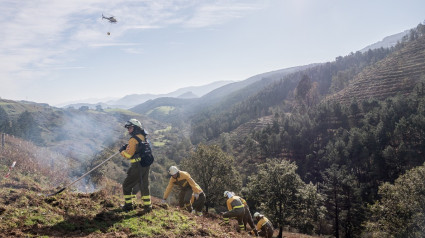 Aitor Omar, jefe de seccion de Protección, Experimentación y Mejora Forestal de Bizkaia