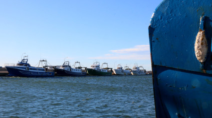 Barques d'arrossegament al port de la Ràpita