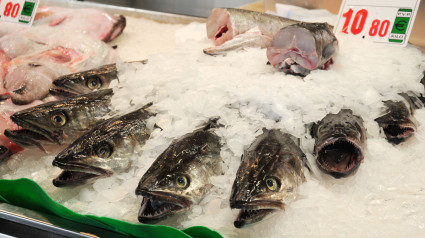 Merluza a la venta en un mercado de pescado español