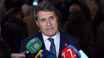 El delegado del Gobierno en Andalucía, Pedro Fernández