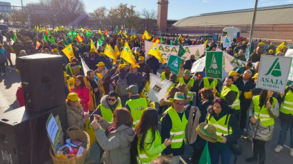 Protestas en Madrid - Mercosur