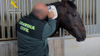 Operación de la Guardia Civil