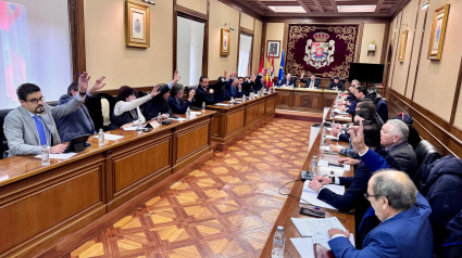 Pleno extraordinario Diputación de Ávila 19 de diciembre