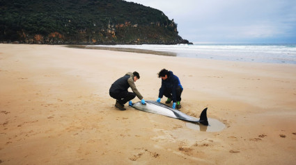 Revarca trabajando en la playa de Berria