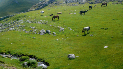 Conflicto Puerto de Pinos (León)