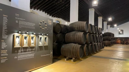 Bodegas Cayetano del Pino