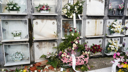 Nichos en el cementerio de San Cristóbal de Avilés, donde un hombre ha profanado la tumba de su madre para "comprobar que había fallecido"