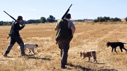 Temporada de caza en Ciudad Real