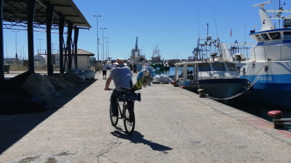 Pesca en PortCastelló