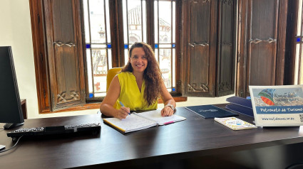 Beatriz González, Concejal de Turismo