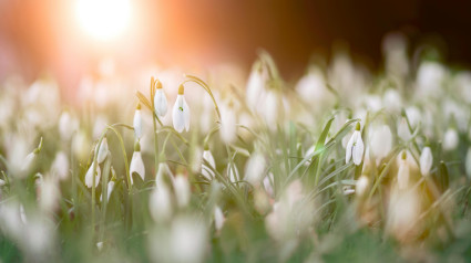 'Merezco una primavera'