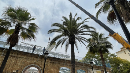 (Foto de ARCHIVO)Trabajos para colocar las cubiertas al cuartel del Paseo Santa Fe en Huelva.AYUNTAMIENTO DE HUELVA20/5/2023