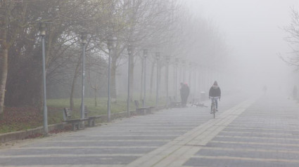 Niebla invierno frío