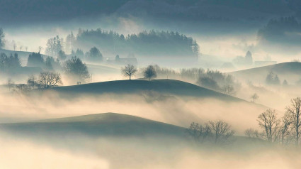 Paisaje con niebla