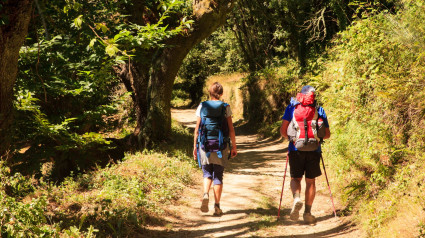 Uno de los tramos del Camino Inglés hacia Santiago de Compostela