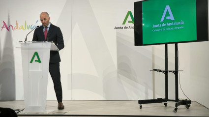 Eduardo Lucena, durante la rueda de prensa