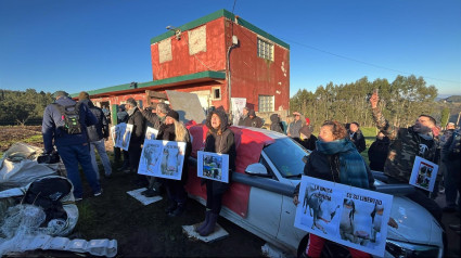 Protestas en el refugio animal