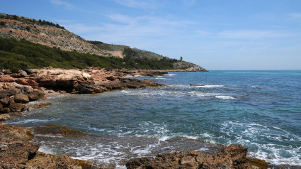 Castellón promocionará sus playas, gastronomía, patrimonio o rutas, entre otros atractivos.