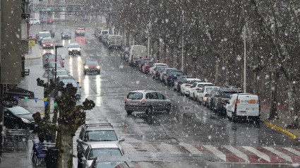 Nevada en El Bierzo (Enero 2025)