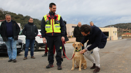 Lapize es uno de los perros de rescate en formación