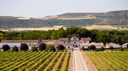 Raúl Herreras de la Lama, Director de exportación de Dehesa de los Canónigos en Herrera en COPE Castilla y León