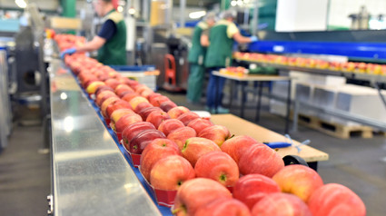 Industria agroalimentaria aragonesa.