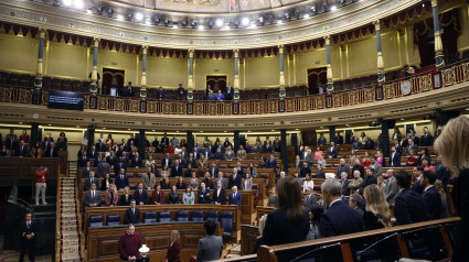 Primer pleno del año del Congreso de los Diputados