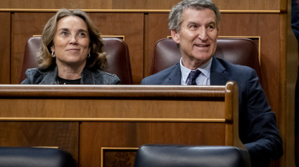 (Foto de ARCHIVO)La secretaria general del Partido Popular, Cuca Gamarra, y el presidente del PP, Alberto Núñez Feijóo, durante una sesión plenaria extraordinaria, en el Congreso de los Diputados, a 22 de enero de 2025, en Madrid (España). El Congreso celebra el primer pleno del año, de manera extraordinaria, para aprobar el suplicatorio que permitirá al Tribunal Supremo imputar al exministro Ábalos. Además el Congreso votará la convalidación de tres decretos: la nueva extensión del decreto anticrisis, que incluye descuentos en el  transporte público o la prohibición de cortar los suministros básicos; la nueva reforma de las pensiones para incentivar la extensión de la vida laboral; y la prórroga durante un año del gravamen a los beneficios extraordinarios de las empresas energéticas.A. Pérez Meca / Europa Press22/1/2025