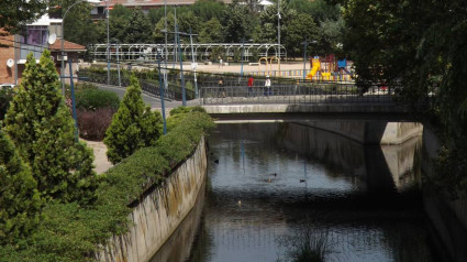 El proyecto acercará a los vecinos los valores ambientales del río