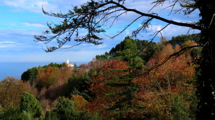 El Bosque-Jardín de La Fonte-Baxa, en Luarca, durante el otoño