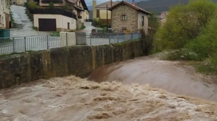 Rio Rubagón a su paso por Barruelo de Santullán