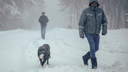 Un hombre camina junto a un perro por la nieve este lunes, en la estación de Montaña de Manzaneda (Ourense)