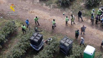 La operación desarrollada por la Guardia Civil se ha saldado con la imputación de tres personas como investigadas por delitos contra los derechos de los trabajadores