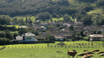 Vacas en un campo verde, rodeadas de colinas onduladas y un tranquilo pueblo español, Benia de Onís, en Asturias