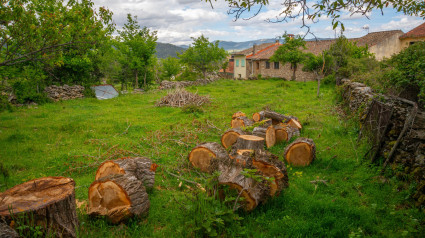 Paisaje. Pinuecar, Madrid