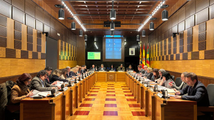 Pleno del Ayuntamiento de Huesca