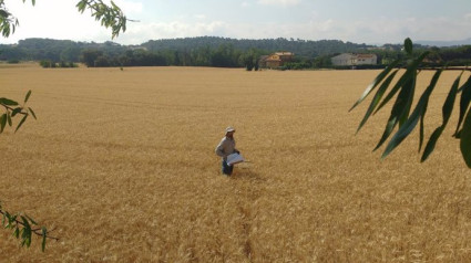 Asaja cree que la reducción de la jornada hay que negociarla por sectores y territorios