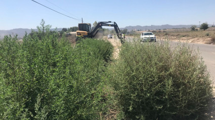 Un tractor desbroza de maleza la cuneta de una carretera en Lorca